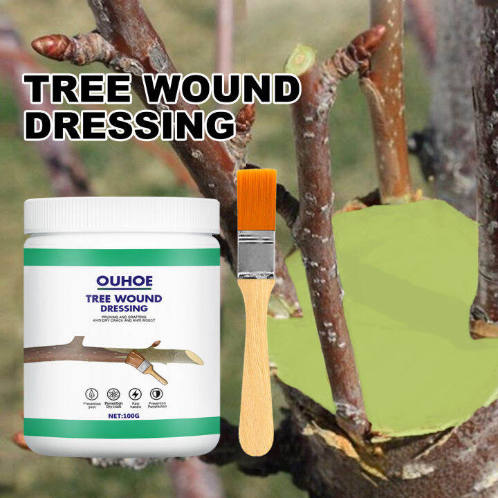 OUHOE Big Tree Wound Healing Agent Plant Daubing Agent Seedling Fruit