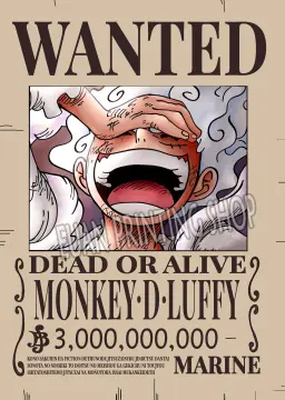 One Piece Straw Hats Post-Wano Bounties, Explained