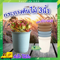 กระถางปลูกต้นไม้ ทรงกลม ใบเล็ก ? Tree O ขนาด 3นิ้ว (เซต 6ใบ) คละสี รุ่น 6PY057-MX กระถางต้นไม้ กระถาง กระถางพลาสติก อย่า