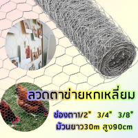 เกรดA+ ตะแกรงเหล็กหกเหลี่ยม6หุน 4หุน 3หุน(ขนาด0.9x30m)ลวดตาข่ายเหล็กล้อมสัตว์ ตะค่ายเหล็กประตู ตะแกรงรั้ว ตาขายถักล้อมไก่ กันงูHexagonal Wire Net