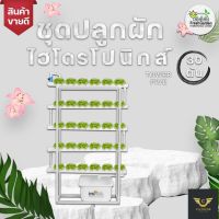 [Ready stcok]⭐⭐⭐⭐ชุดปลูกแนวตั้ง 30 ต้น TOWER FIVE สูง 1.5 เมตร กว้าง 1 เมตร 5 ราง Fresh Garden Hydroponics Center⭐⭐⭐⭐⭐⭐ส่งฟรี