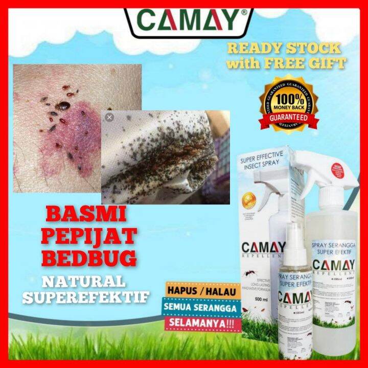 Ubat Penghapus Pijat Bed Bugs 臭虫科 Spray Pijat Pepijat Bedbug Killer ...