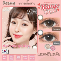 คอนแทคเลนส์ Dreamy Brown / Gray / Black (Kitty Kawaii) ขนาดบิ๊กอาย ? ขายดีมาก?