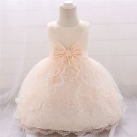 Baby Dress 0-24M Baby Girl Birthday Infant Lace Birthday Party Princess Dress