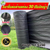 พลาสติกคลุมดิน คลุมวัชพืช พลาสติกคลุมดิน (PP) ขนาด 1.5x50เมตร กำจัดวัชพืชและรักษาความชื้น อายุการใช้งานยาวนาน 3-5 ปี ผ้าคลุมกันวัชพืช