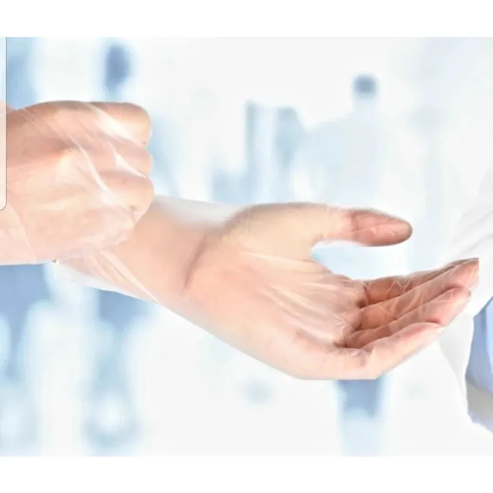 ♣VINYL GLOVESGatamo, Glomed, Great Glove(food grade)※ Lazada PH