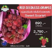 2 กิโล ?องุ่นแดงกลิ่นลิ้นจี่ Sweet Scarlet ?ออสเตรเลีย