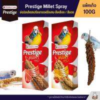 Prestige Millet Spray ช่อมิลเล็ตสเปร์ยเกรดฝรั่งเศษ สีเหลือง / สีแดง (แพ็คเก็จ 100G)