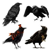 【YF】◐  QCF173 Hand Painted Crow Personalized Sticker