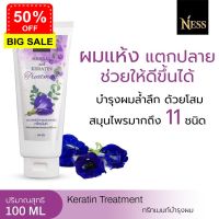 Ness ทรีทเม้นท์ 100 ml บำรุงเส้นผมเงางาม ผมมีน้ำหนัก ช่วยกระตุ้นเร่งผมเกิดใหม่ ส่งฟรี เก็บเงินปลายทาง