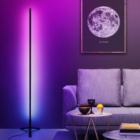 Net red wall corner floor lamp led atmosphere remote control switch modern aesthetic design style RGB eye protection floor lamp