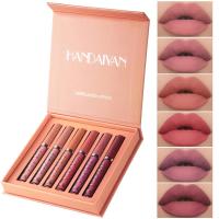 6ColorsSets Matte Velvet Lip Gloss Sets Liquid Lipstick Natural Waterproof Long Lasting Lip Glaze Gift Box Makeup TSLM1