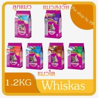 Whiskas วิสกัส อาหารแมว อาหารเม็ดแมว ลูกแมว แมวโต แมวสูงวัย 1.2 กิโลกรัม