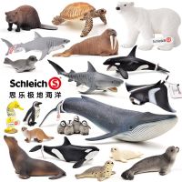 สัตว์ทะเลขั้วโลก Schleich ชาวเยอรมันของเล่นโมเดลโลกใต้น้ำฉลามปลาวาฬสีน้ำเงิน