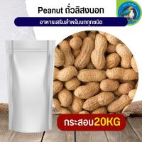 สุดยอด ถั่วลิสงนอก PeaNut อาหารนก กระต่าย หนู กระต่าย กระรอก ชูก้า และสัตว์ฟันแทะ (กระสอบ 20KG)