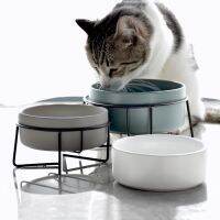 Pet Cat Dog Ceramic Bowl Feeding For Puppy Cat Dogs Eating Dishes Feeder Water Dispenser Water Bottle Supplies Products #P007