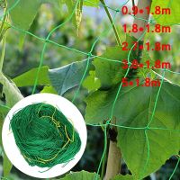 ✹☂☍ Plant Climbing Netting High-quality Nylon Plant Trellis for Garden Vine Climbing Vegetable Loofah Morning Glory Flowers Growing