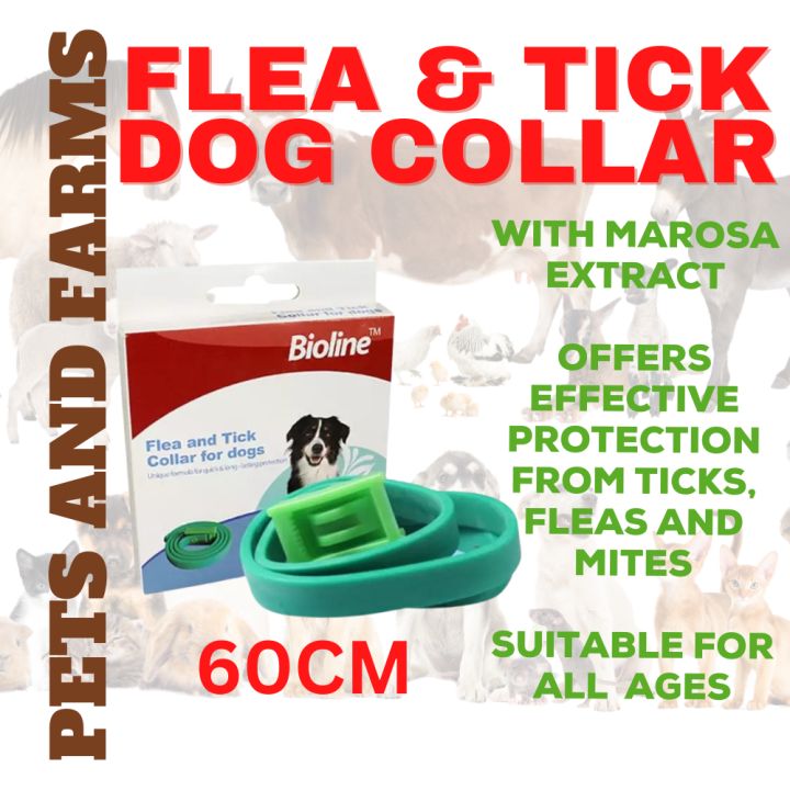 BIOLINE FLEA AND TICK COLLAR FOR DOGS 60 MC Lazada PH