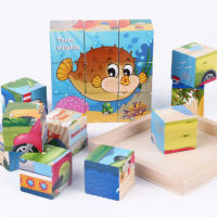 Toys &amp; Hobbies Games and Puzzles 9-pieces six-side drawing puzzle kids 3D wooden puzzle juguetes wooden toys juegos educativos