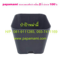 (100ใบ) papamami กระถางพลาสติก กระถางดำ เหลี่ยม 2นิ้ว กระถางปลูกต้นไม้ กระถางต้นไม้ ที่ปลูกต้นไม้ กระถางแค็คตัส กระถางปลูกตอ สีดำ กระถาง2นิ้ว