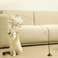 【WNING small pet】กระดิ่งขนนกของเล่นหยอกแมวที่ใส่แปรงยาวของเล่นสำหรับสัตว์เลี้ยงแมวแบบจุกดูดเบ็ดตกปลาเรืองแสง