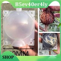 B5ev40er4ly SHOP 8cm Garden Fruit Tree Plant Rooting Ball Root Growing Boxes Case Grafting Rooter Grow Box Breeding Garden Tools Supplies