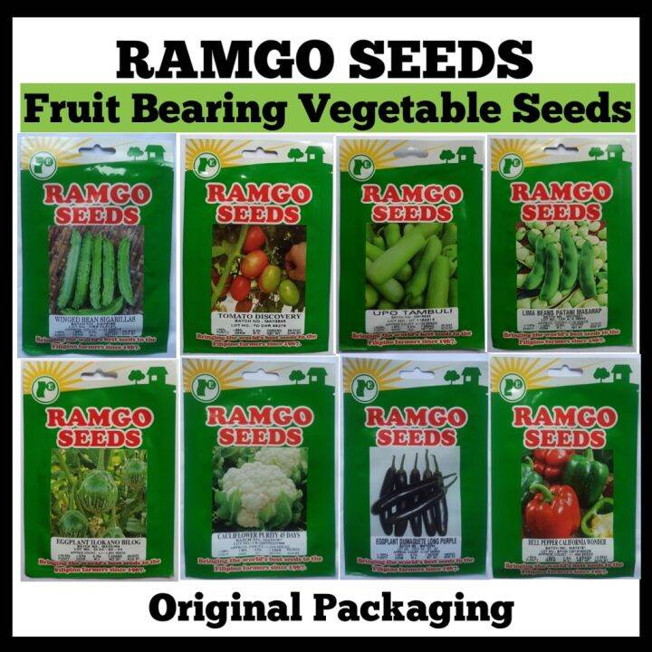 100 Fresh new seed RAMGO Fruit Bearing Vegetable Seeds (Buto ng