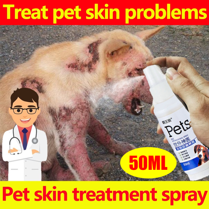 Pet Skin Treatment Spray Pet Allergy Treatment Spray Dogs And Cats Pet ...