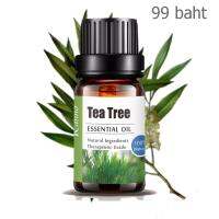 Aliztar 100% Pure Tea Tree Essential Oil 10 มิล น้ำมันหอมระเหยทีทรี สำหรับอโรมาเทอราพี เตาอโรมา เครื่องพ่นไอน้ำ ผสมน้ำมันนวดผิว ทำเทียนหอม