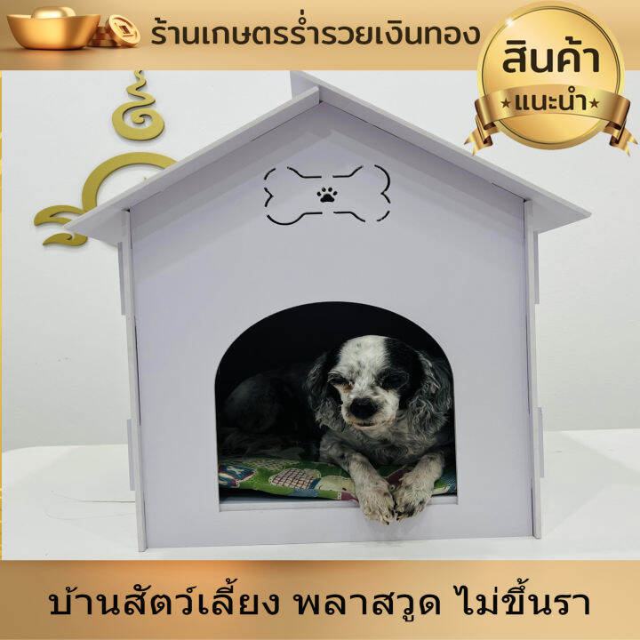 บ้านสัตว์เลี้ยง-พลาสวูด-บ้านสุนัข-บ้านหมา-บ้านแมว-ขนาด-l-52x37ซม-ประกอบง่าย-สะอาด-ไม่ขึ้นรา-ไม่เหม็นอับ-กันแดด-กันฝน-ทนทาน-งานดี