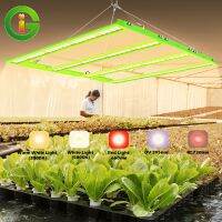 สุดพิเศษ กรอบ LED Grow Light Spectrum เต็ม Samsung LM281B จำลองแสงแดด ไฟปลูกต้นไม้ สำหรับเรือนกระจกในร่ม Grow เต็นท์ Yummy! กระจกแต่งหนน้า กระจกแผ่นใหญ่ กระจกพกพา กระจกเต็มตัว กระจกห้องน้ำ