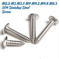 10/20/50/100pcs 304 Stainless Steel Phillips Big Flat Head Extended Self Tapping Screw Corrosion Protection And Rust Resistance Nails Screws  Fastener