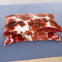 [a pair] lai velvet pillowcase student dormitories in winter to keep warm wool flannel coral velvet pillow cover