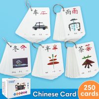 Children Chinese Pinyin Words Card Early Education Pictogram Literacy Picture Recognition for Kid Learning Chinese Flashcard Flash Cards Flash Cards