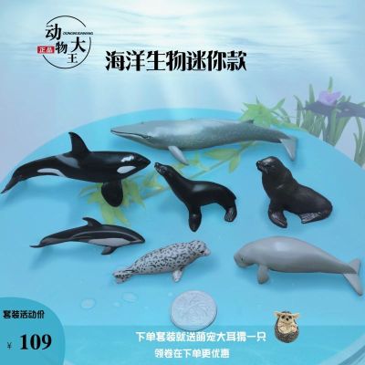 Simulation ocean world mini animal model blue whale killer whale sea lion seal small childrens gift set