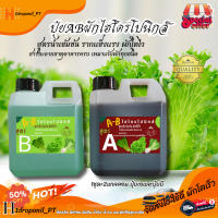 ปุ๋ยน้ำ AB ปุ๋ยไฮโดรโปรนิกส์ ขนาด 1 ลิตร 1000ml ใช้ปลูก ผักสลัด ผักไทย กินใบ New