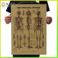 VHGG 1 PC DIY Body Structure Home Decor Kraft Paper The Skeleton System Wall Sticker Retro Poster