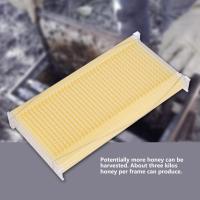 7PCS Comb Honey Beehive Frames Plastic Beekeeping Harvesting Tubes Kit