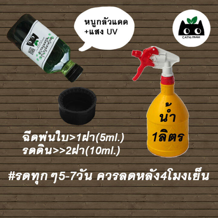 ซื้อ3คุ้มกว่า-ไตรโคเดอร์มาน้ำ-ชนิดพร้อมใช้-catiofarm-ไตรโคเดอร์มาเชื้อสด-พระเอกราเขียว-ปุ๋ยน้ำ-บำรุงดิน-พ่นใบ-กำจัดโรคเชื้อราในพืช-ขนาด220cc