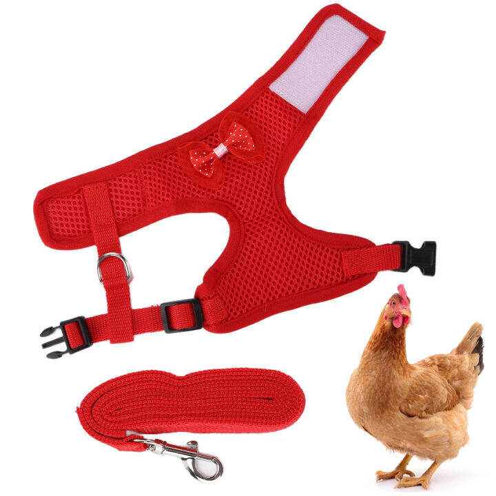 Adjustable Chicken Harness Safety Latch Design Chicken Harness for Hen for Roosters Lazada