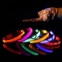 【CW】 Nylon Pet Dog Collar LED Light Night Safety Light-up Flash Glowing in Dark Cat Collar LED Dog Collars Small Dogs Dog Accessories