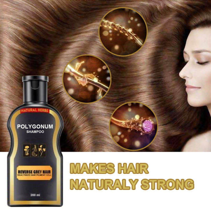 Polygonum Multiflorum Black Hair Growth Anti White Hair Shampoo Prevent