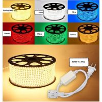 ✶▦☋ 505050 100 Meter led strip Hose Light (Free Socket 5) led drop ceiling outdoor ceiling