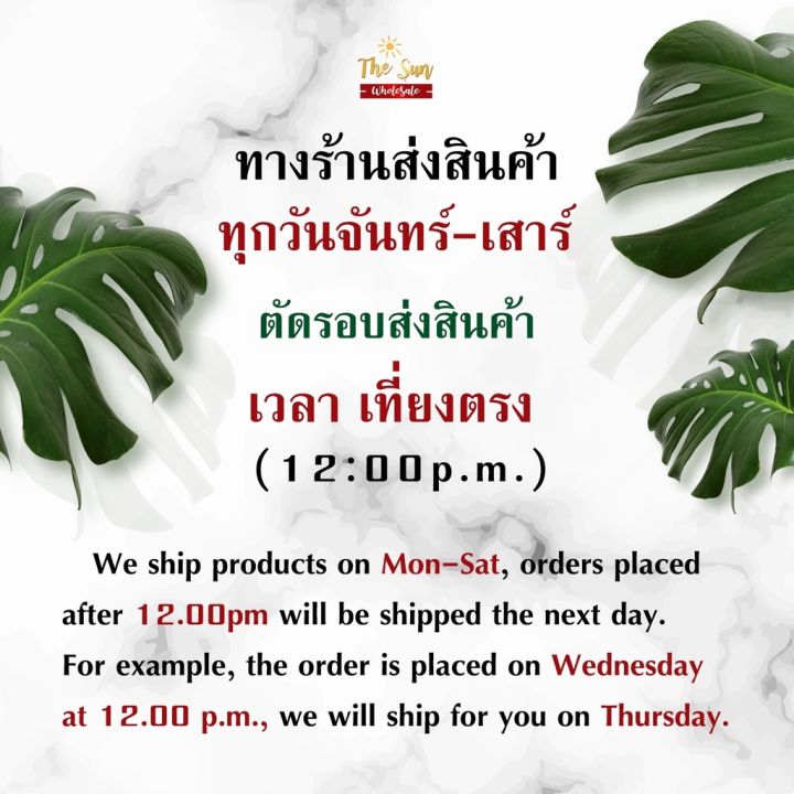 พร้อมส่งผ้าปูที่นอน5ฟุต-รวมปลอกหมอนหนุนไม่รวมผ้านวม-มีหลายลาย-ยางยืดรัดรอบแผ่น-เนื้อผ้านุ่ม-สีไม่ตก