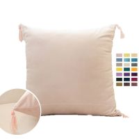 22 Colors For Choose Luxury Solid Color Velvet Tassel Cushion Cover 30x50cm/40x40cm/45x45cm/50x50cm/55x55cm/60x60cm Decor Pillowcase Home Sofa Bedside Hug Throw Waist Big Sizes Cushion Covers