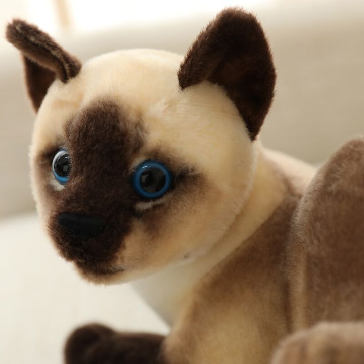 ตุ๊กตาแร็กดอลล์สยามแมวของเล่นตุ๊กตาอเมริกันชอร์ตเรียขนาด20-45ซม-ของเล่นสัตว์เหมือนจริงสำหรับ-kado-bayi-ตกแต่งบ้านเด็ก