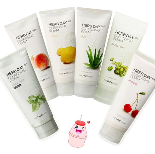 The Face Shop Herb Day 365 Master Blending Cleansing Foam (170ml