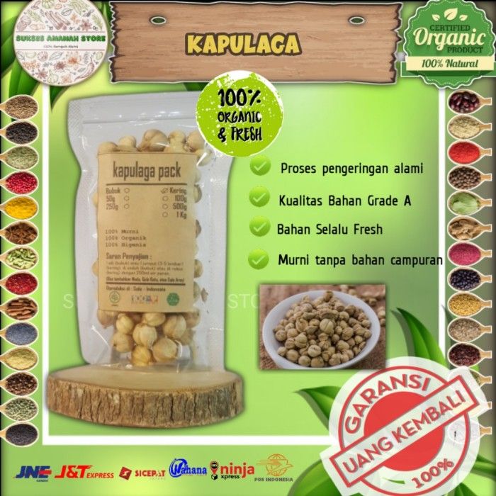 Kapulaga Kapulogo Kering 50 Gram Amomum Compactum Lazada Indonesia 9472