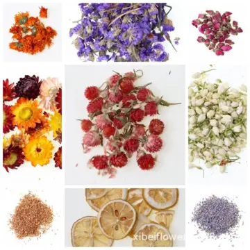 Shop Dried Flowers For Candle online