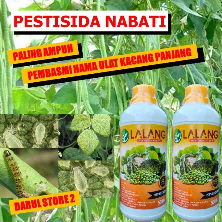 Pestisida Organik Hama Kacang Panjang LALANG Obat Organik untuk